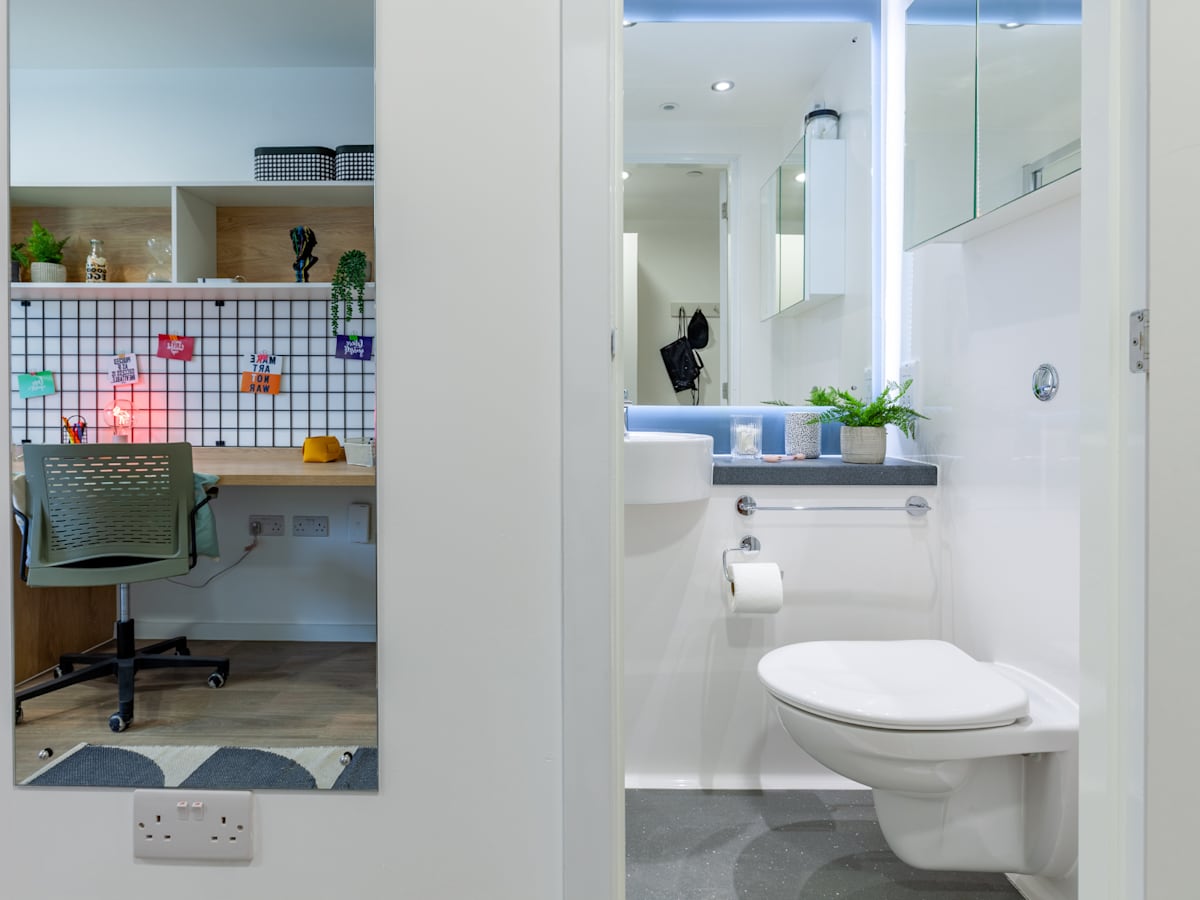  Bronze Studio  -  Ty Nant  - Gallery -  4