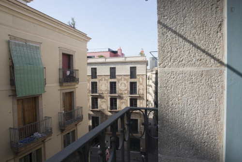 Practical single bedroom close to the Liceu metro station