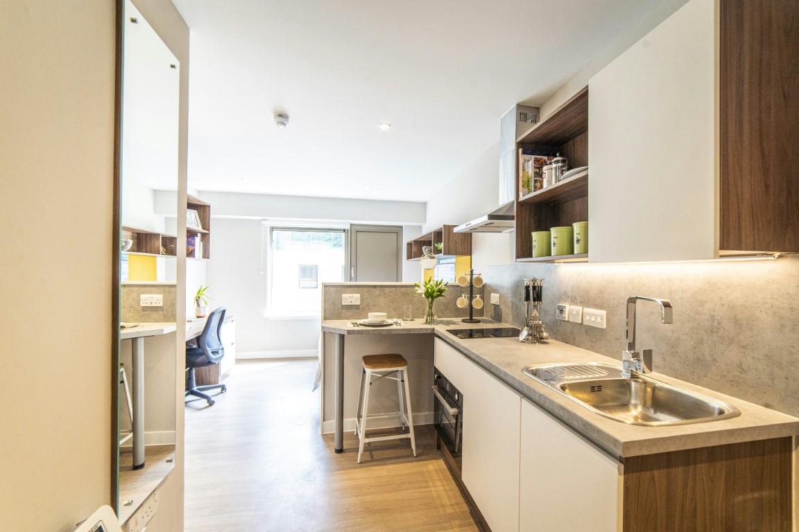  Studio Silver - South Facing  -  Brewers Court  - Gallery -  2