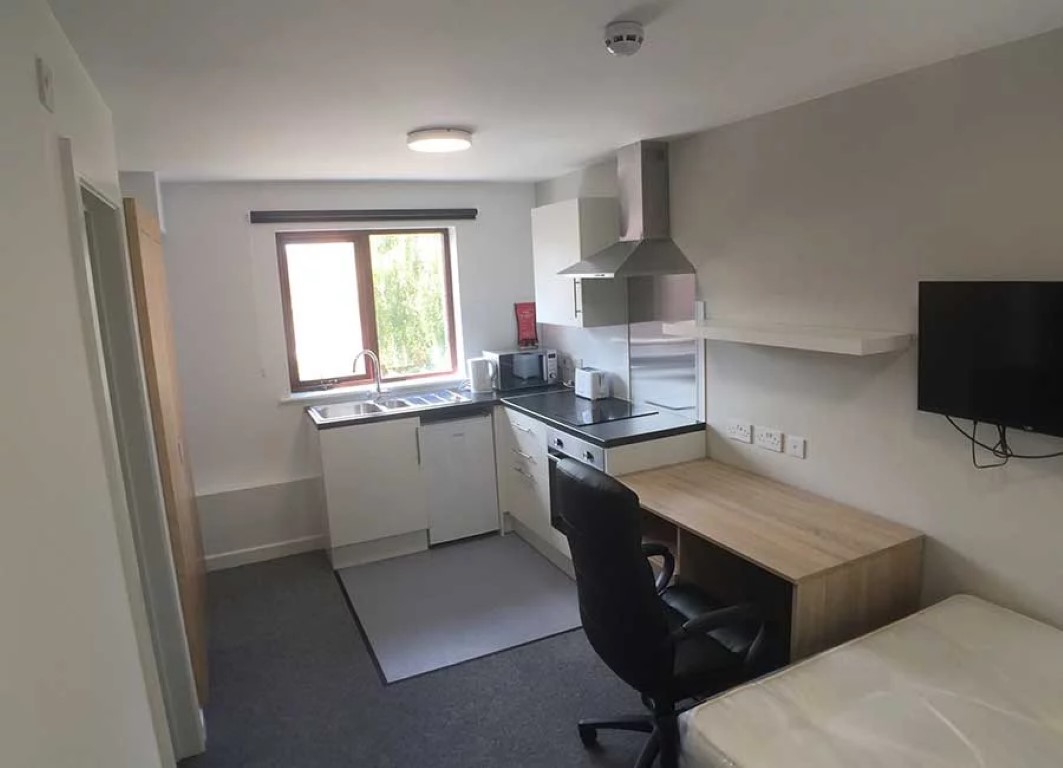  سوبيريور ستوديو بي - هول  -  كنج فيشر هولز  - Gallery -  6