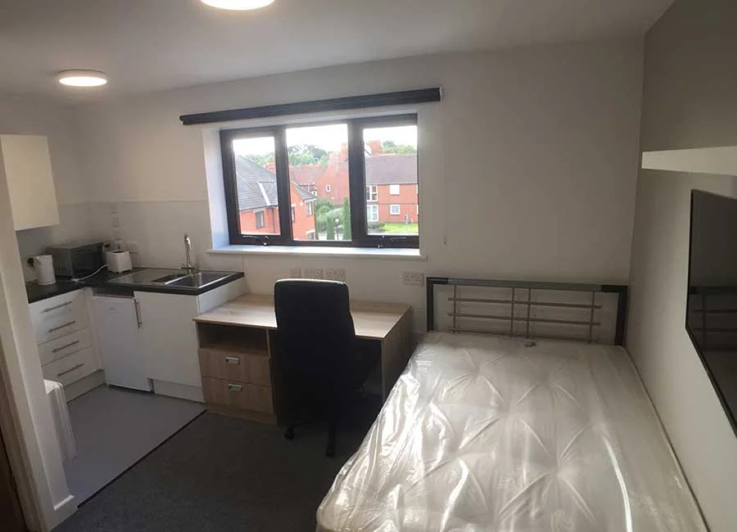  سوبيريور ستوديو بي - هول  -  كنج فيشر هولز  - Gallery -  1