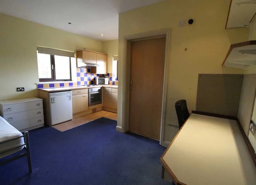  Large Studios (Halls D)  -  كنج فيشر هولز  - Gallery -  6