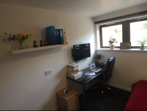 Forest Court - Gallery - 22