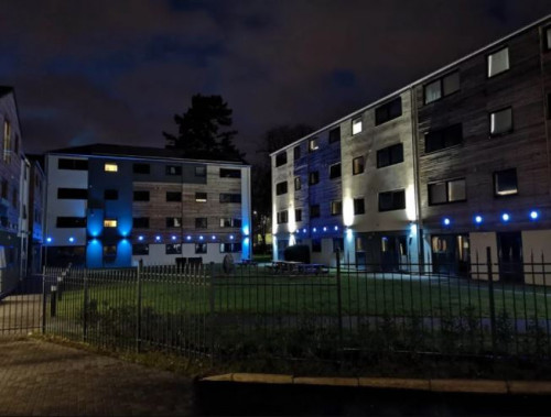 Forest Court - Gallery - 7