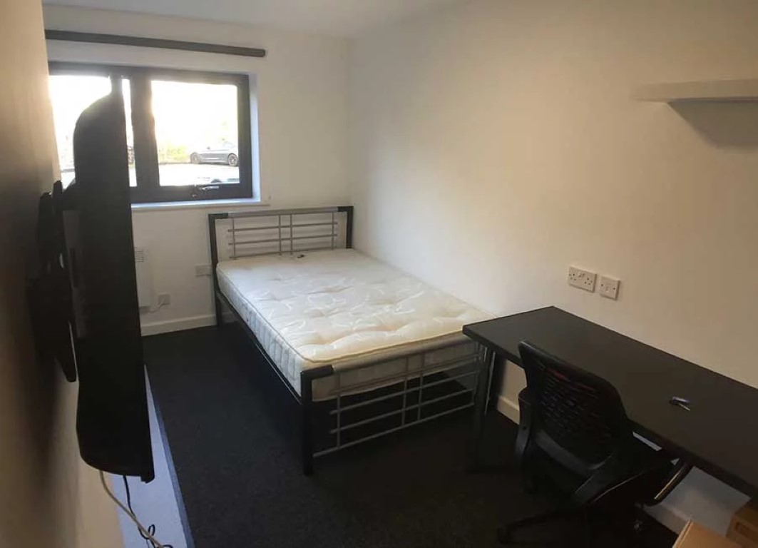  Superior Studio  -  Forest Court  - Gallery -  7