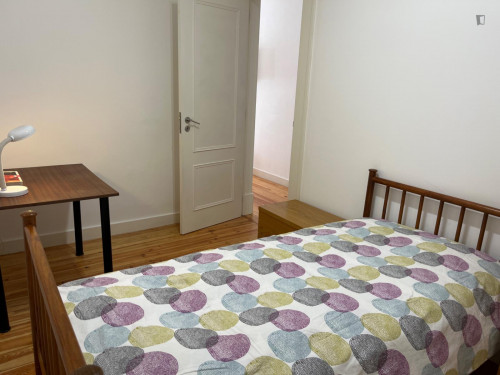 Comfy Single bedroom in Luciano Cordeiro