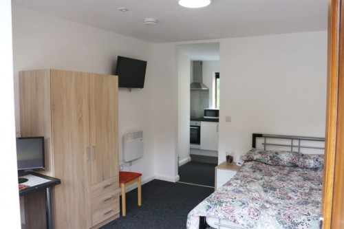 Forest Rise  - Gallery -  5