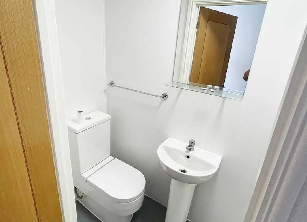  Standard Studio  -  Forest Rise  - Gallery -  9