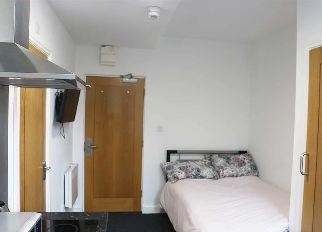  Standard Studio  -  Forest Rise  - Gallery -  1