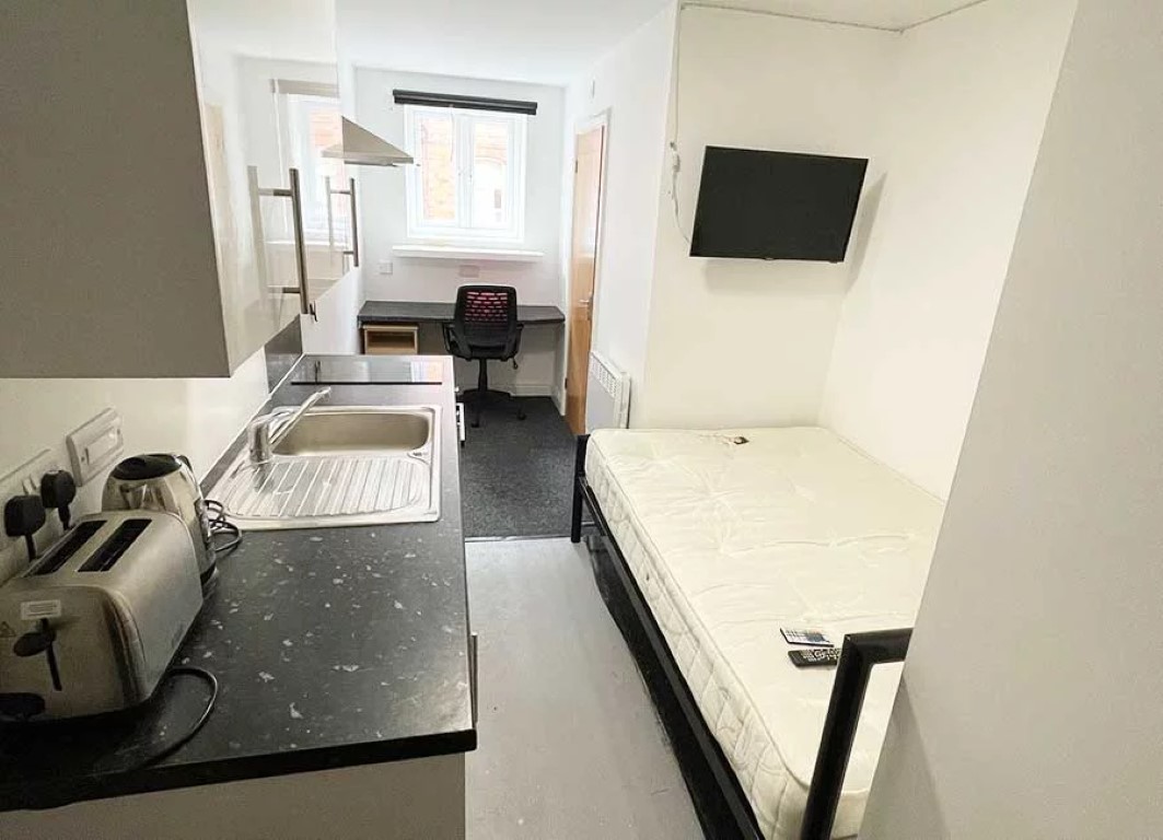  Standard Studio  -  Forest Rise  - Gallery -  6