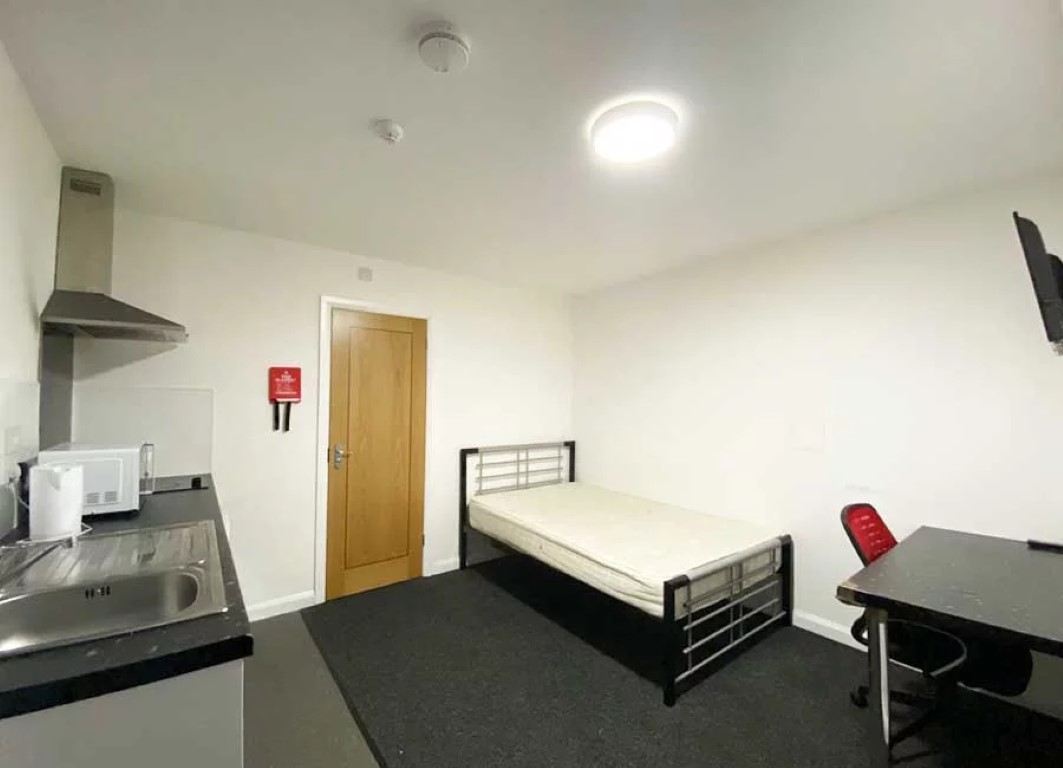  Superior Studios  -  Forest Rise  - Gallery -  7