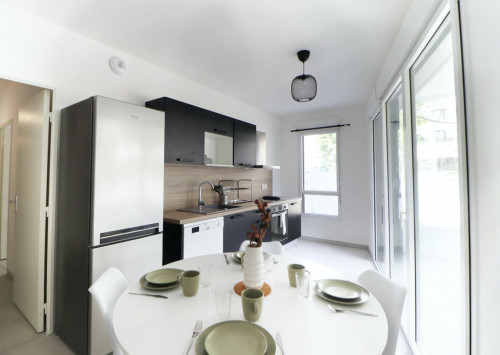 Very nice 91 m² apartment in coliving in Villeurbanne