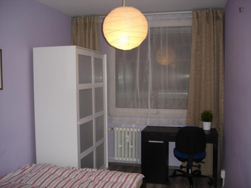 Snug double bedroom in a 4-bedroom apartment close to Podviní park