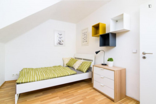 Bright double bedroom in a 5-bedroom apartment close to Platan javorolistý v park