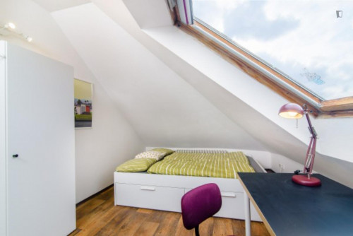 Luminous double bedroom in a 5-bedroom apartment close to Dětský koutek