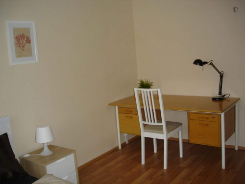 Cute double bedroom in a 4-bedroom apartment close to Libeň  - Gallery -  3