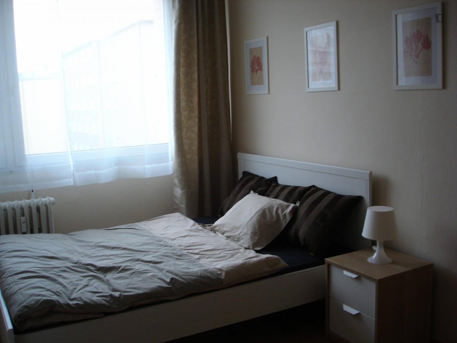 Cute Double Bedroom In A 4-Bedroom Apartment Close To Libeň - Cute double bedroom in a 4-bedroom apartment close to Libeň - Gallery - 1