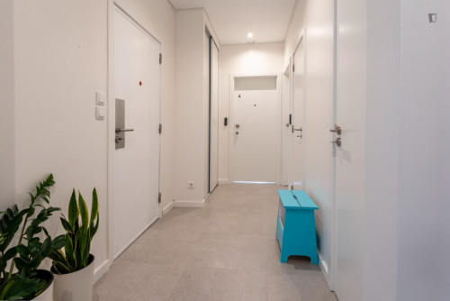 Cosy studio in Montes Claros - Gallery - 9