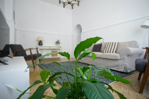 Luna Home - Gallery - 28
