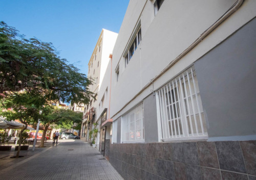 Comfortable Vibrant House w/ Workspaces + Terrace