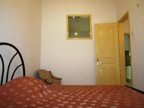 Comfy single bedroom in 4-bedroom apartment close to Belém
