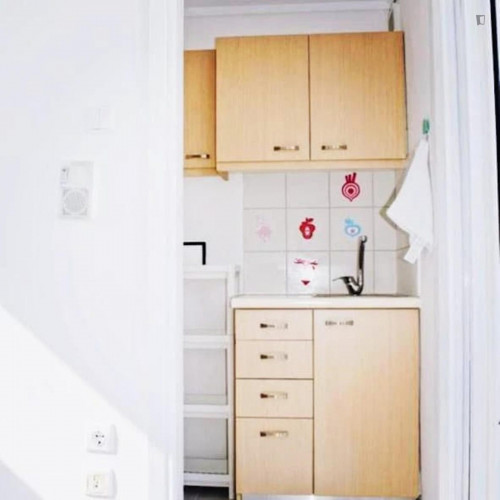 Artistic studio in a beautiful area close to center in Athens