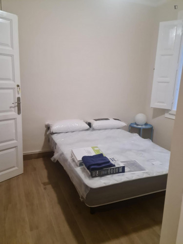 Cosy double bedroom close to Plaza de los sitios