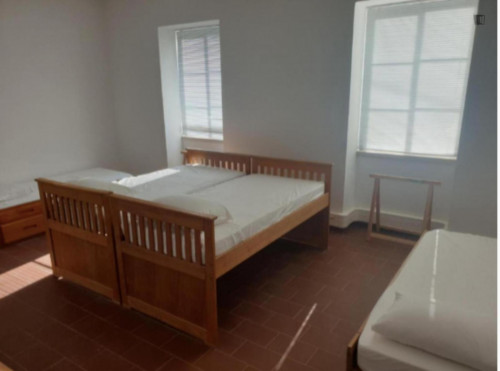 Single bed in nice 4-Bed dorm room in Tunes - Gallery - 2