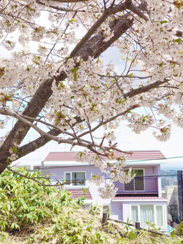 Stunning Traditional Coliving in Sapporo with Panoramic Views & Nature Access