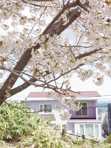 Miyanosawa Home - Gallery - 97