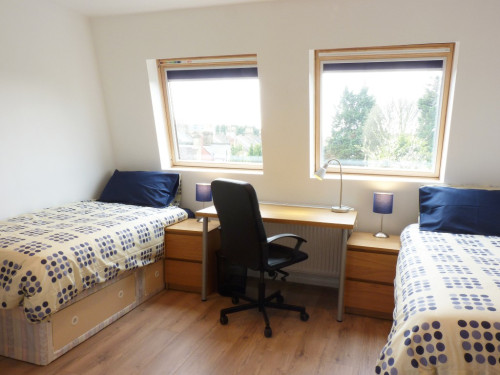 House Shares - Flexible Tenancies