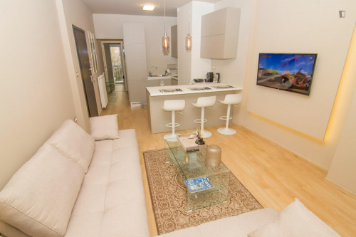 Modern and refurbished 2-bedroom flat with balconies and open plan layout