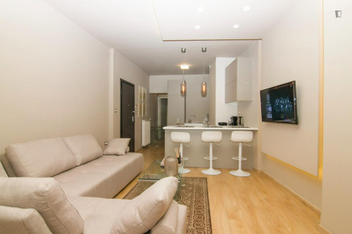 Modern and refurbished 2-bedroom flat with balconies and open plan layout