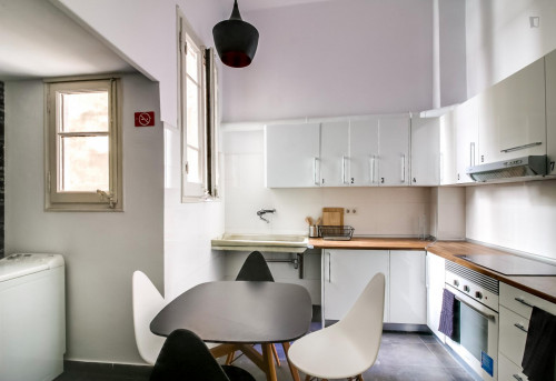RH9-R5 Appealing single bedroom, bordering Dreta de l'Eixample. - Gallery - 7
