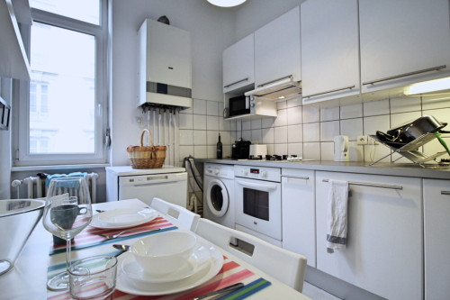 Large apartment located close to the Botanical Garden in Strasbourg