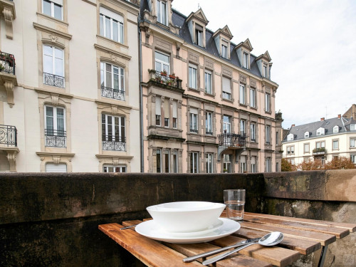 Large apartment located close to the Botanical Garden in Strasbourg  - Gallery -  5