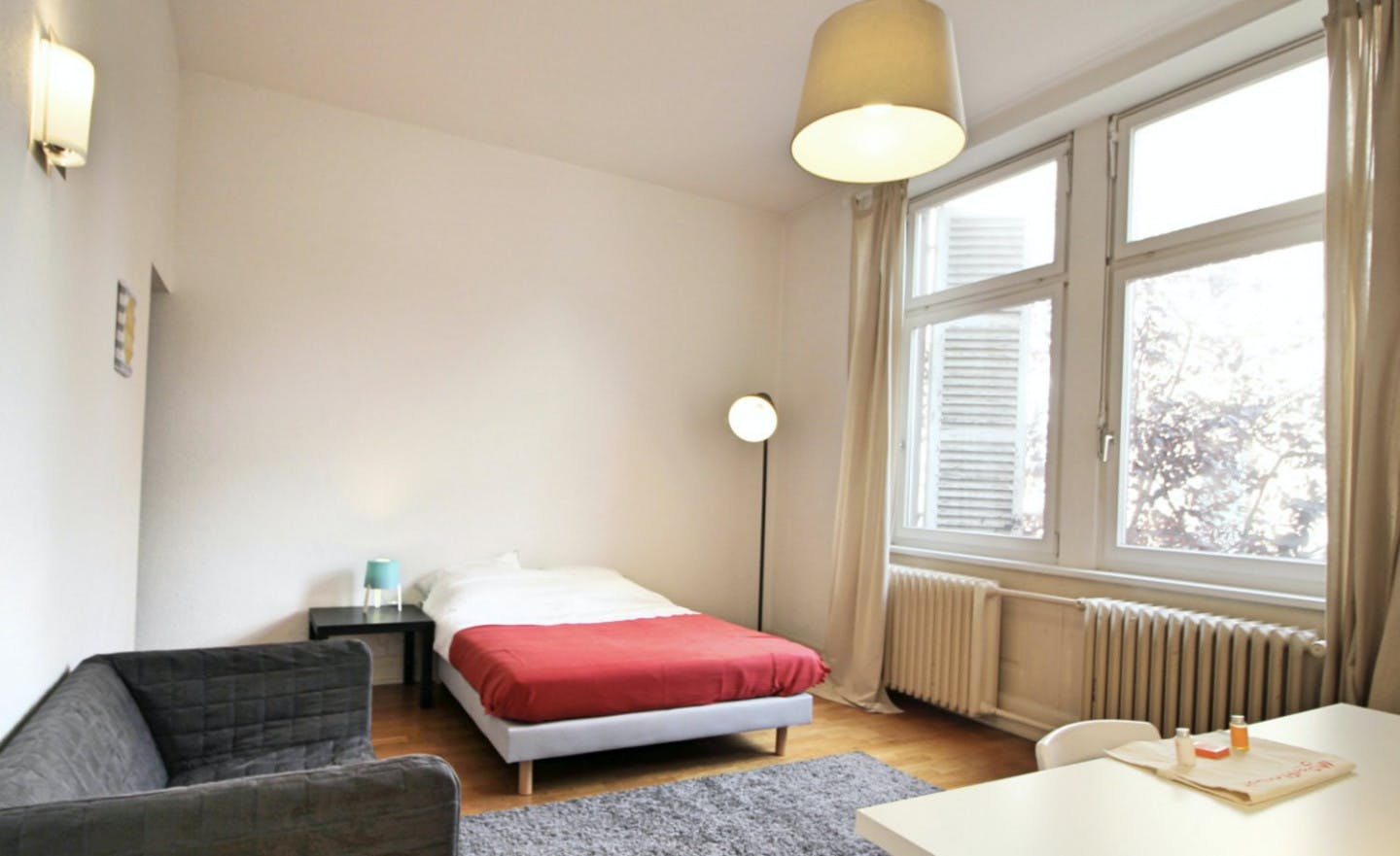  Spacious And Cosy Room - 22m² - ST19  -  Large apartment located close to the Botanical Garden in Strasbourg  - Gallery -  1