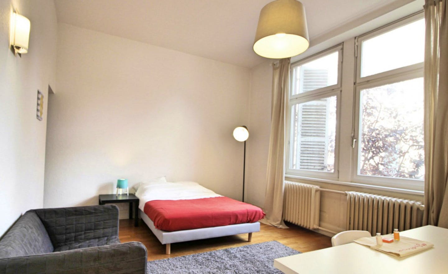  Spacious And Cosy Room - 22m² - ST19  -  Large apartment located close to the Botanical Garden in Strasbourg  - Gallery -  7