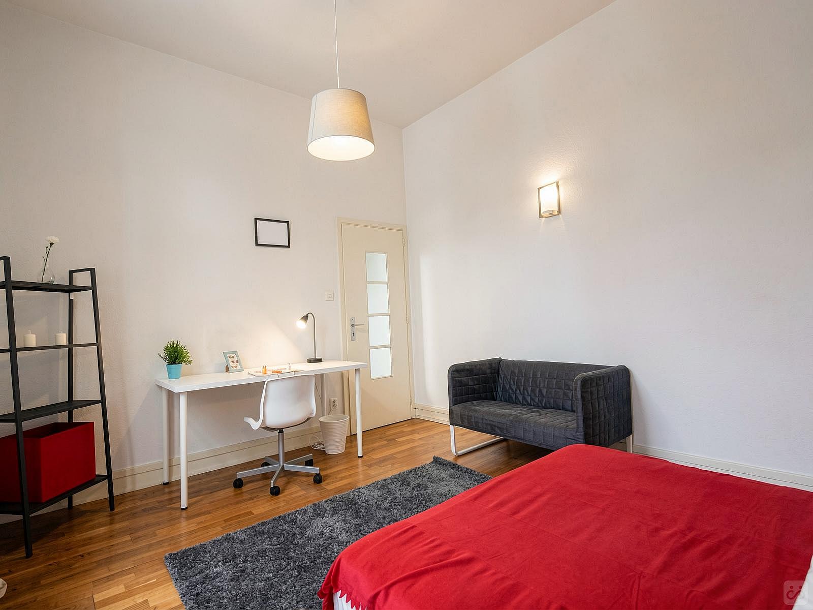  Spacious And Cosy Room - 22m² - ST19  -  Large apartment located close to the Botanical Garden in Strasbourg  - Gallery -  36