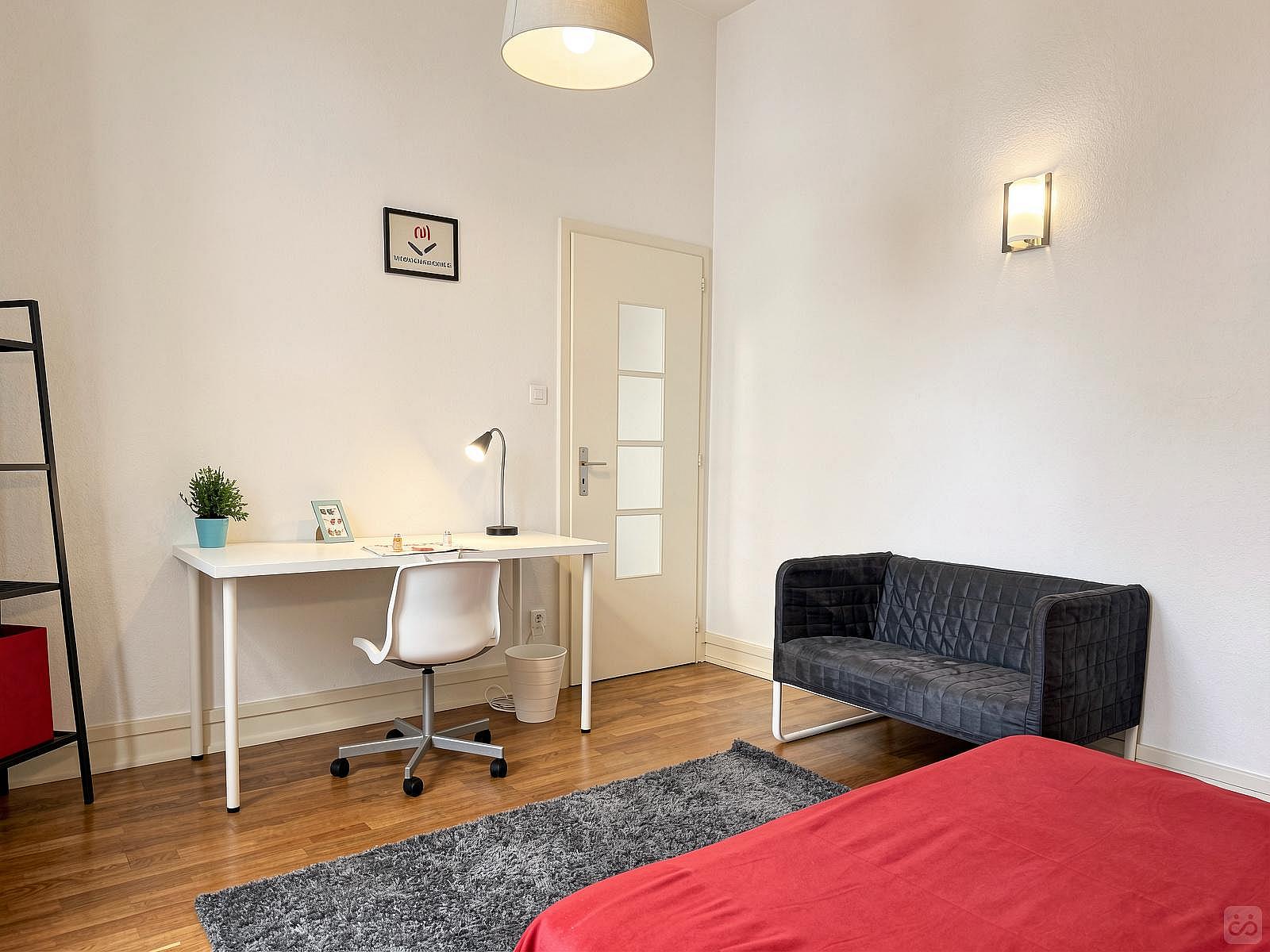  Spacious And Cosy Room - 22m² - ST19  -  Large apartment located close to the Botanical Garden in Strasbourg  - Gallery -  33