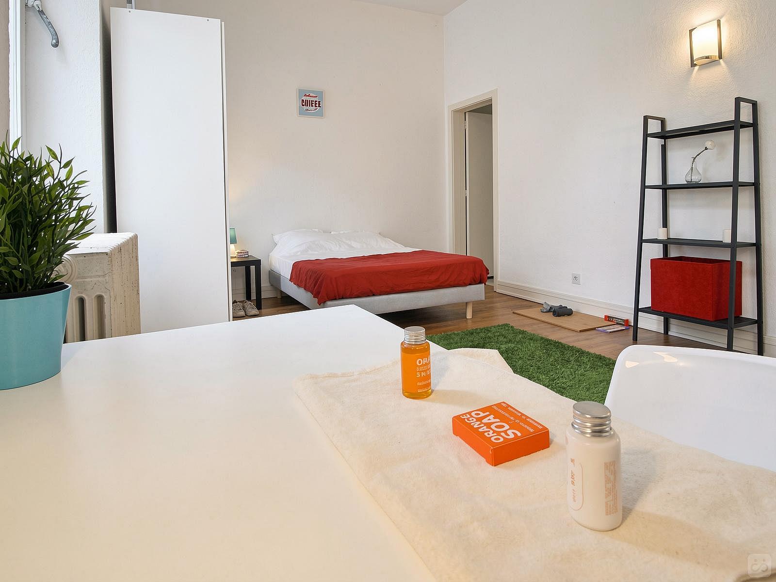  Cosy And Spacious Room - 22m² - ST20  -  Large apartment located close to the Botanical Garden in Strasbourg  - Gallery -  35