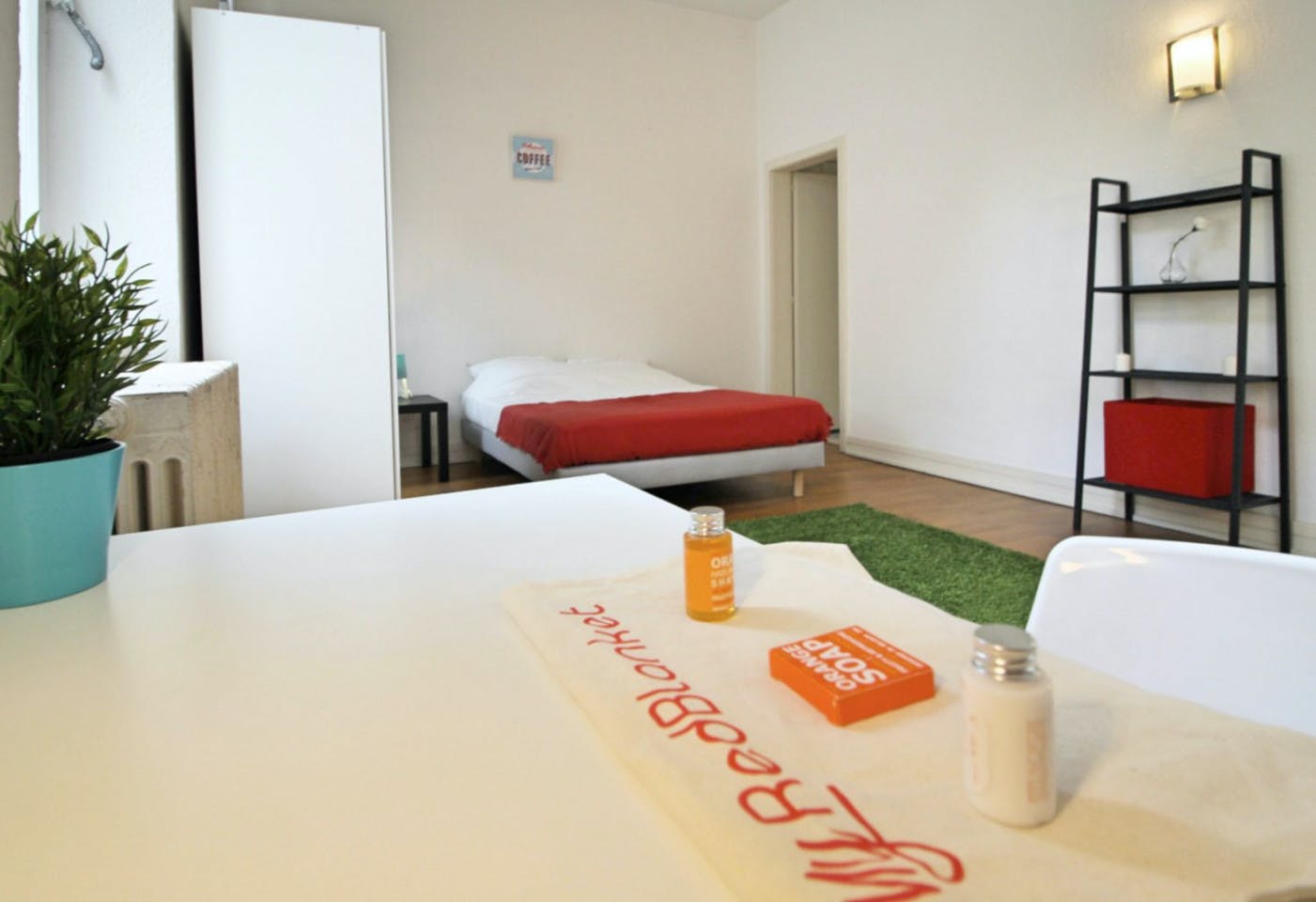  Cosy And Spacious Room - 22m² - ST20  -  Large apartment located close to the Botanical Garden in Strasbourg  - Gallery -  5