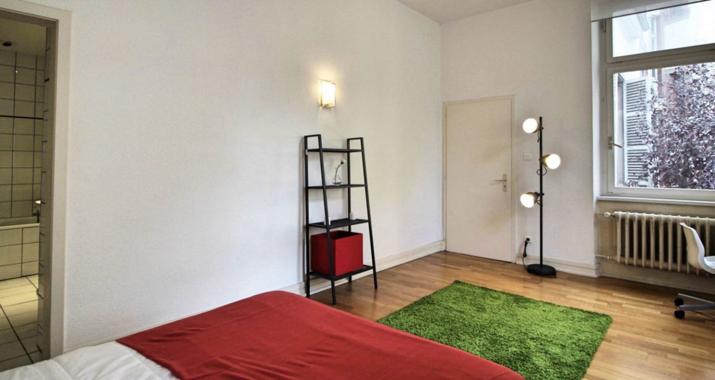  Cosy And Spacious Room - 22m² - ST20  -  Large apartment located close to the Botanical Garden in Strasbourg  - Gallery -  10