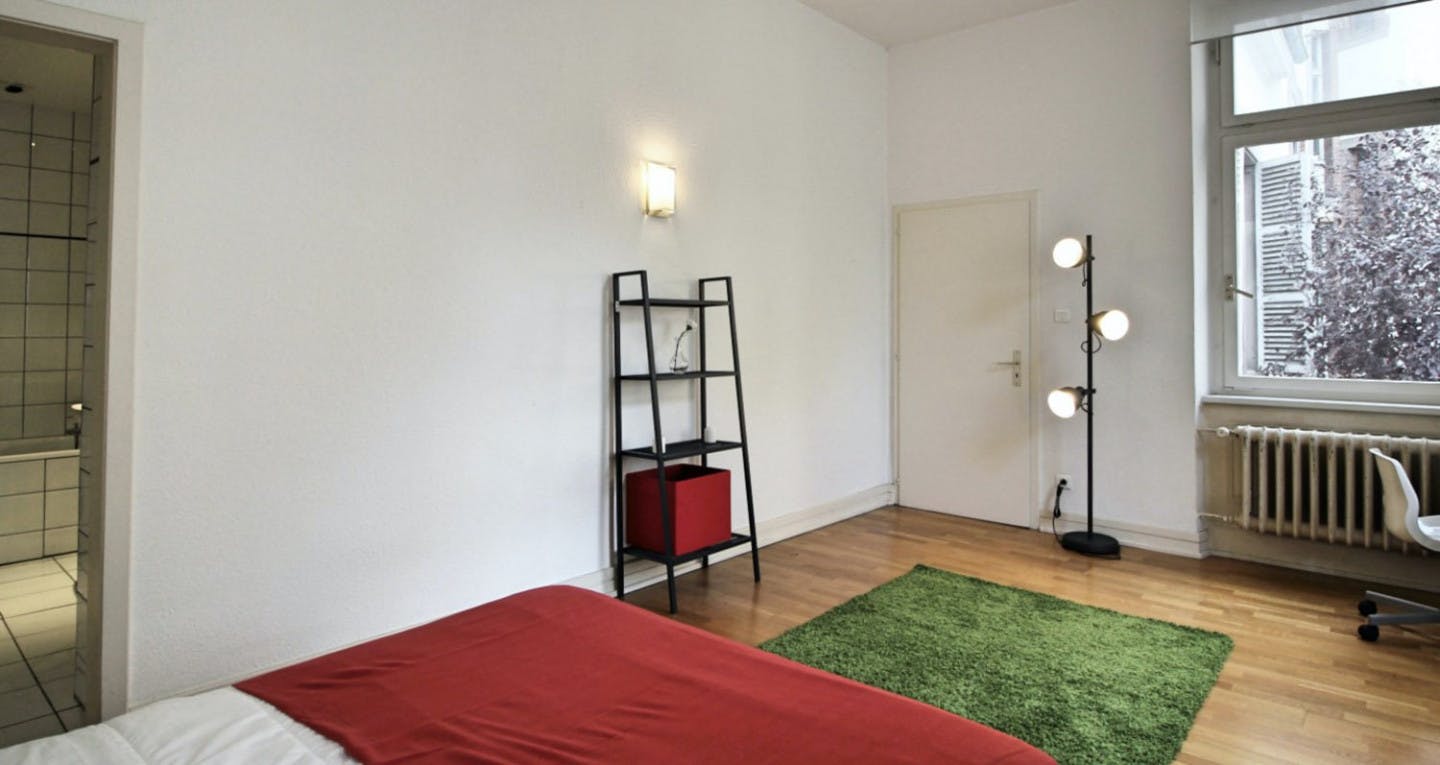  Cosy And Spacious Room - 22m² - ST20  -  Large apartment located close to the Botanical Garden in Strasbourg  - Gallery -  4