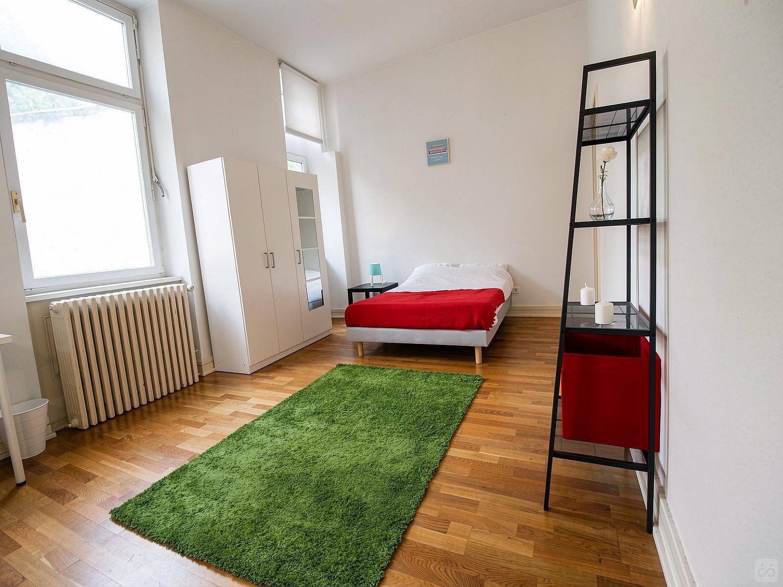  Cosy And Spacious Room - 22m² - ST20  -  Large apartment located close to the Botanical Garden in Strasbourg  - Gallery -  36