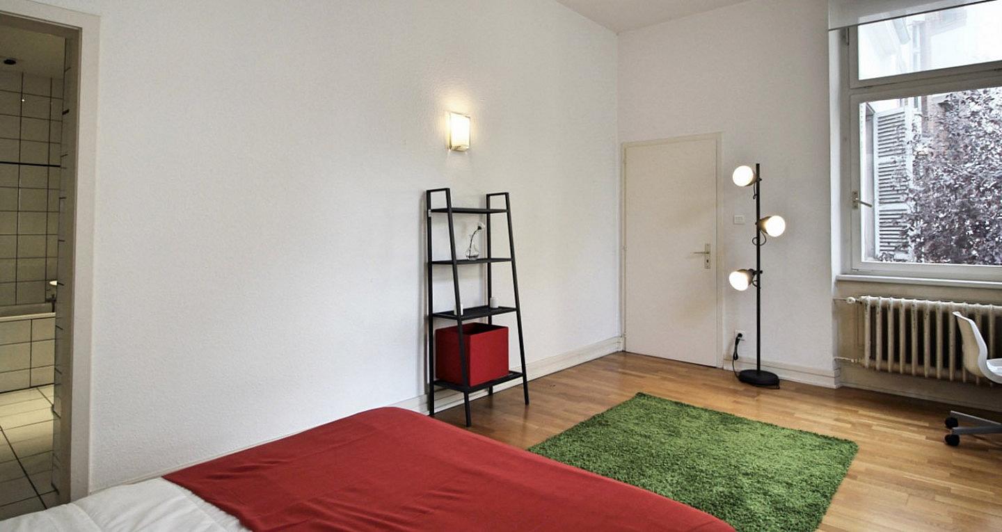  Cosy And Spacious Room - 22m² - ST20  -  Large apartment located close to the Botanical Garden in Strasbourg  - Gallery -  16