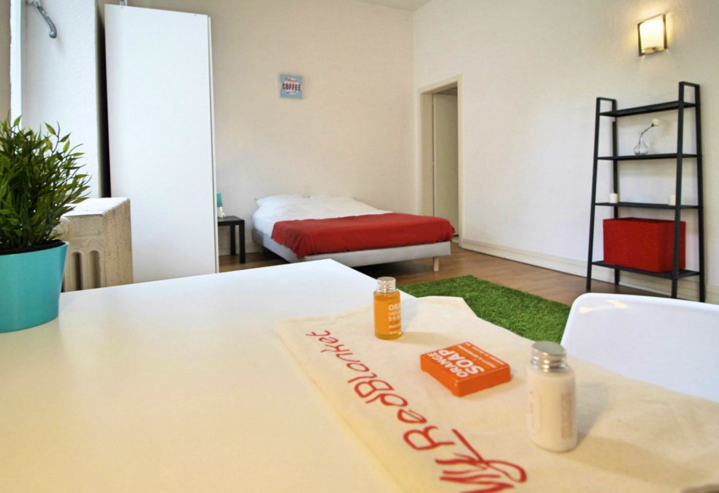  Cosy And Spacious Room - 22m² - ST20  -  Large apartment located close to the Botanical Garden in Strasbourg  - Gallery -  11
