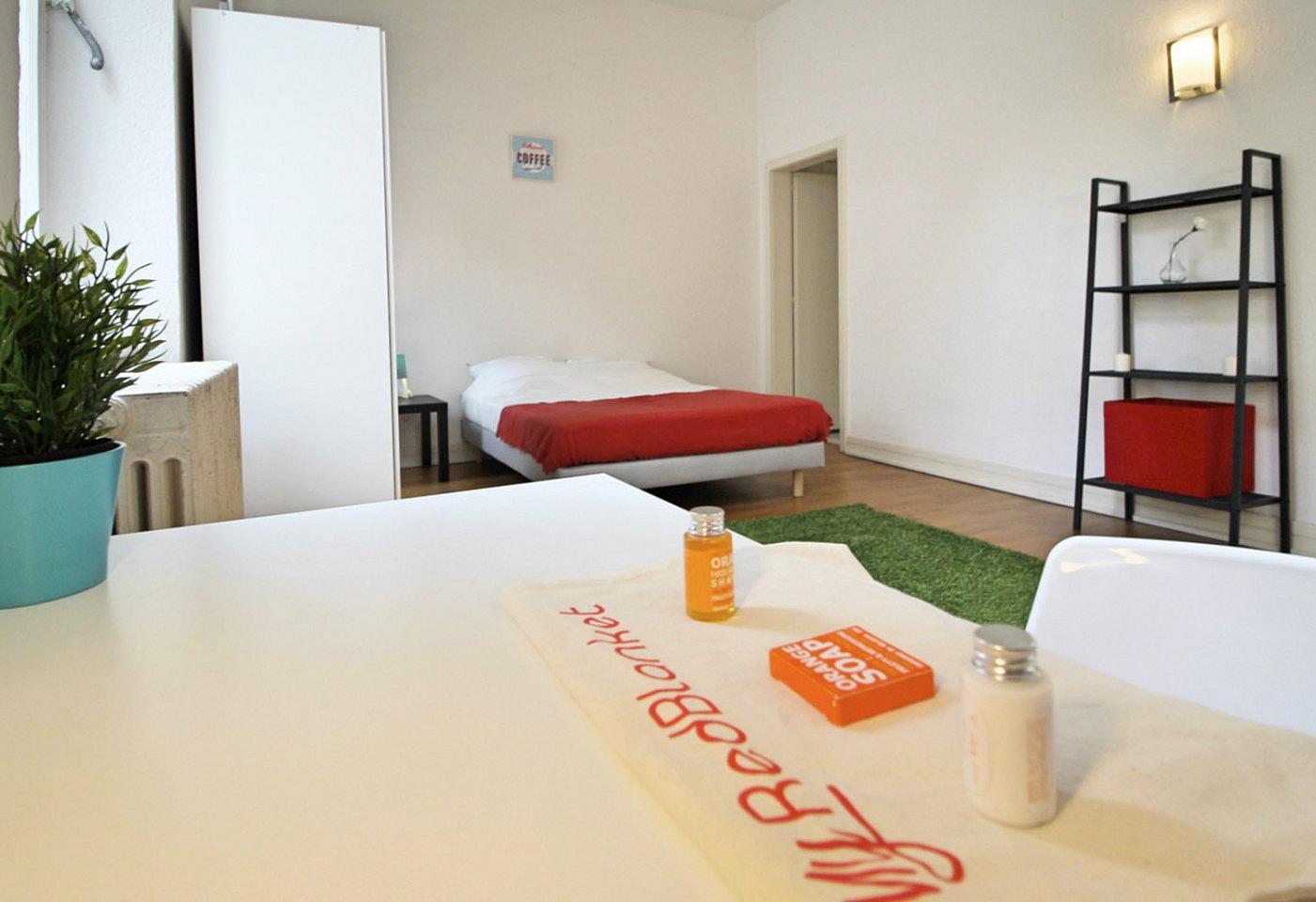  Cosy And Spacious Room - 22m² - ST20  -  Large apartment located close to the Botanical Garden in Strasbourg  - Gallery -  29
