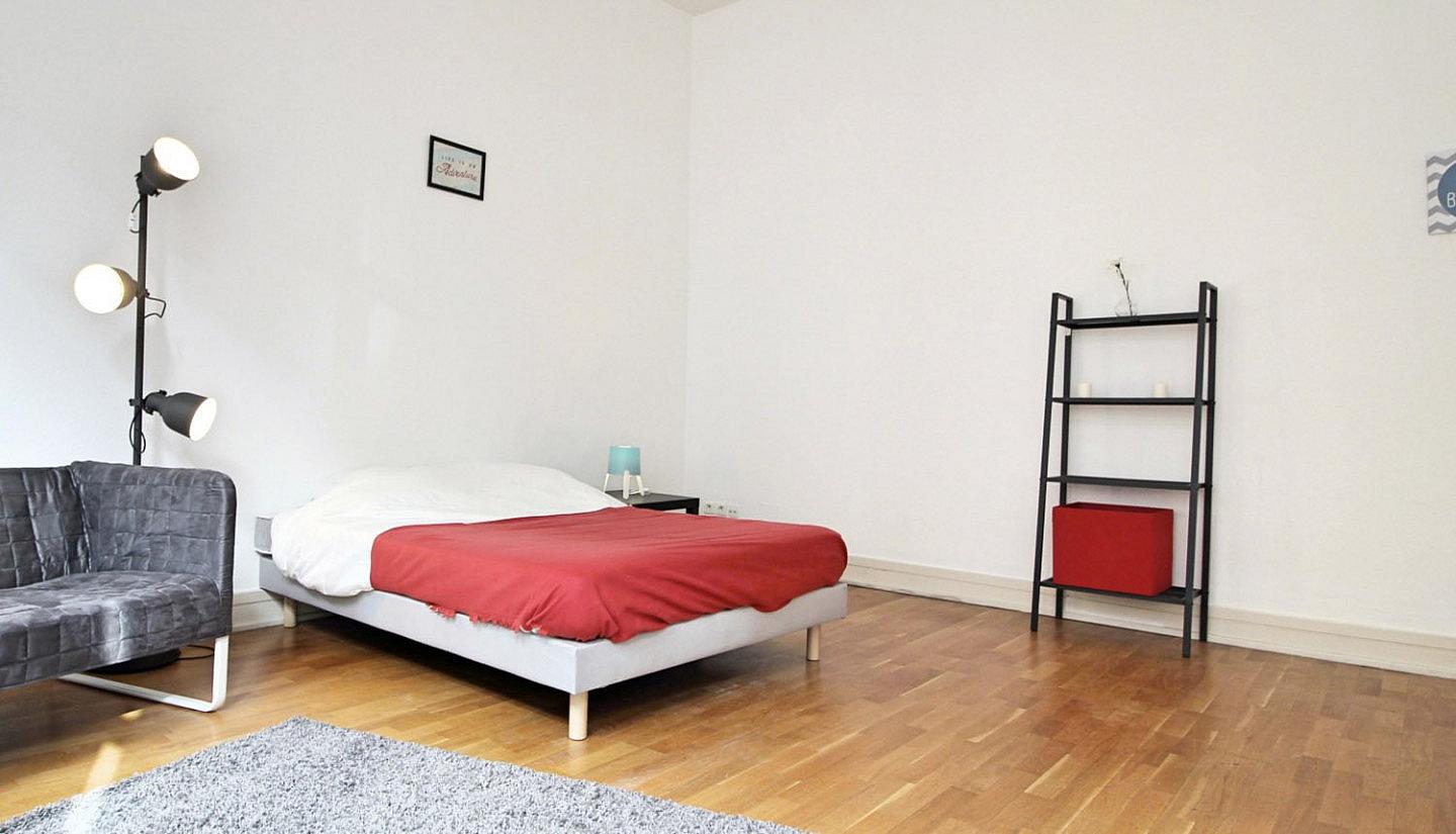  Spacious Luminous Bedroom - 22m² - ST18  -  Large apartment located close to the Botanical Garden in Strasbourg  - Gallery -  19