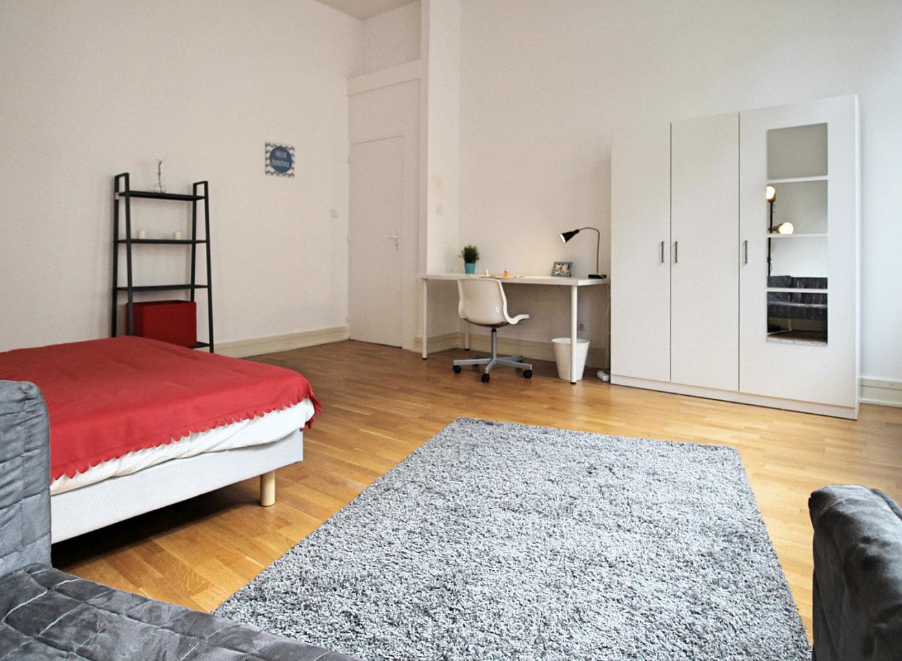  Spacious Luminous Bedroom - 22m² - ST18  -  Large apartment located close to the Botanical Garden in Strasbourg  - Gallery -  16